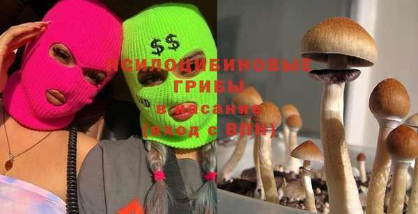 прущая мука Кинешма