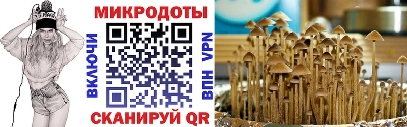 Галлюциногенные грибы мухоморы  Купить  Белогорск 